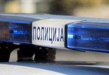 PU BOR: NELEGALNO PREVOZIO PUTNIKE OD BEČA DO NEGOTINA