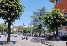 POPIS POKAZAO KAKO SU SE GRAĐANI SRBIJE IZJASNILI O MATERNJEM JEZIKU I VERI