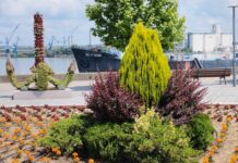 LETO 2023. POČINJE 21. JUNA U 16:57 ČASOVA