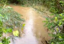 VODOTOKOVI U OPŠTINI KLADOVO POD KONTROLOM