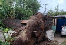 NEVREME SINOĆ ZAHVATILO KLADOVO