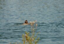 MUP APELUJE: KORISTITE ISKLJUČIVO UREĐENA KUPALIŠTA