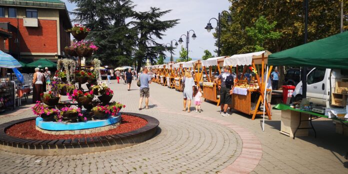 festival meda i vina