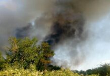 POŽARI U VELIKOJ KAMENICI I KOSTOLU