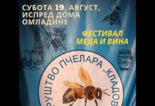 FESTIVAL MEDA I VINA 19. AVGUSTA U KLADOVU