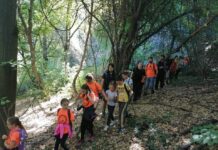 ROSA DAN PEŠAČENJA U KLADOVU