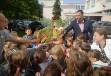 ZASAĐENO „DRVO GENERACIJE“ U DVORIŠTU KLADOVSKE OSNOVNE ŠKOLE /VIDEO/