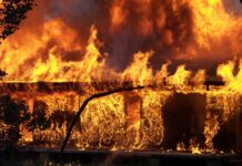 VATROGASCI U SEPTEMBRU GASILI 13 POŽARA