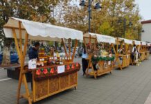 ODRŽANA MANIFESTACIJA „JESEN U KLADOVU“ /VIDEO/