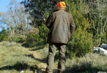 U OPŠTINI KLADOVO EVIDENTIRANA ČETIRI LOVIŠTA