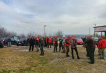 HAJKA NA ŠAKALA U SUBOTU U LOVIŠTU „ŽIVICE“