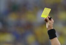 SEMINAR SLUŽBENIH LICA BORSKOG OKRUGA U NEGOTINU