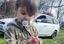 NASTAVLJA SE POTRAGA ZA DVOGODIŠNJOM DANKOM ISTRAGU POKRENULA BEČKA POLICIJA