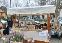 OSMOMARTOVSKI BAZAR KOD DOMA OMLADINE