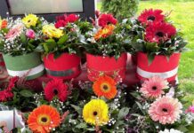 PRODAVCI CVEĆA „OKUPIRALI“ GRADSKE ULICE