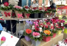 NA DAN ŽENA PRODAVCI CVEĆA IZNIKLI KAO PEČURKE POSLE KIŠE