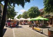 NERADNI DANI DO SEDMOG MAJA