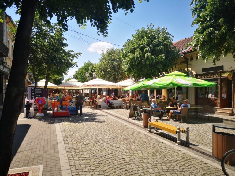 PREČISTAČI VAZDUHA OBAVEZNI U UGOSTITELJSKIM OBJEKTIMA