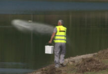 U UTORAK TRETMAN SUZBIJANJA LARVI KOMARACA