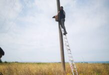 NA PODRUČJU OPŠTINE KLADOVO PRSTENOVANO 60 MLADUNACA MODROVRANE