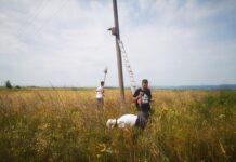 PRSTENOVANJE PTICA U OPŠTINI KLADOVO