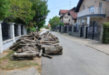 PRIPREME ZA ZIMU, DRVA U DVORIŠTU, ALI I NA ULICAMA