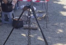 ZLATNA BUĆKA ĐERDAPA-SPOJ TRADICIJE, TAKMIČENJA I DRUŽENJA