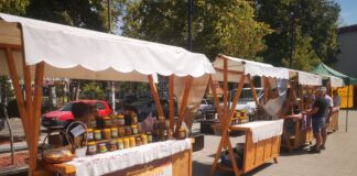 Zbog klimatskih uslova manje meda u Kladovskom kraju