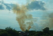 TOKOM AVGUSTA U OPŠTINI KLADOVO 45 POŽARA NA OTVORENOM