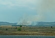 OPREZ ČETIRI POŽARA ZA ŠEST SATI U OPŠTINI KLADOVO