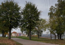 PROŠLE GODINE „FETISLAM“ OBIŠLO 10.727 POSETILACA, PRIHOD 3,2 MILIONA DINARA