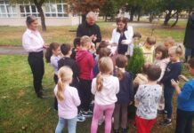 DRVO GENERACIJE I DONACIJA SPORTSKE OPREME ZA KRAJ DEČJE NEDELJE