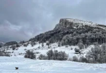 U SUBOTU 21. DECEMBRA U 10 SATI I 20 MINUTA POČINJE ZIMA