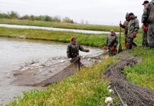 ZAHTEVI ZA SREDSTVA IZ PROGRAMA IPARD III DO 24. JANUARA