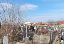 ДАНАС СУ ЗИМСКЕ ЗАДУШНИЦЕ