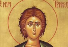 СВЕТИ ТРИФУН СЛАВА ВОЋАРА И ВИНОГРАДАРА