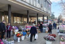 8. MART SIMBOL BORBE ZA RAVNOPRAVNOST ŽENA