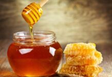 NEGOTIN DOMAĆIN 18. SAJMA MEDA I VINA