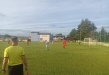 SEMINAR SLUŽBENIH LICA FS BORSKOG OKRUGA U SREDU U NEGOTINU