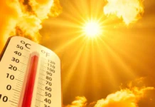 LETO STIŽE U SUBOTU 21. JUNA