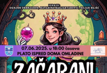 U SUBOTU OD 18 SATI PREDSTAVA „ZAČARANI PRINC“