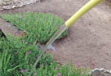 JP „JEDINSTVO“ APELUJE NA NAMENSKU POTROŠNJU VODE ZA PIĆE