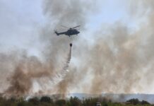 U OPŠTINI KLADOVO U AVGUSTU 37 POŽARA