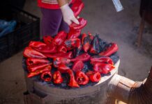 KONKURS ZA NAJBOLJU FOTOGRAFIJU HRANE U SRBIJI