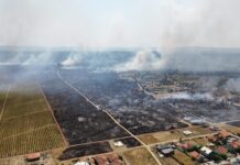 LOKALIZOVANI POŽARI U OPŠTINI KLADOVO