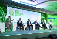 DO 2030. GODINE 45 ODSTO ELEKTRIČNE ENERGIJE IZ OIE