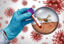 U SRBIJI REGISTROVANO 40 OBOLELIH OD GROZNICE ZAPADNOG NILA