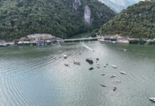 DUBOVSKA REGATA PROMOVIŠE DRUŽENJE I LEPOTE ĐERDAPSKE KLISURE