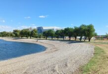 JEZERO U GRADSKOM PARKU U SASTAVU RIBARSKOG PODRČJA „SRBIJA ISTOK“