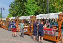 Sajam meda i vina 12. septembra